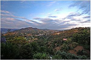 8c83.jpg