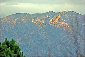 8c85.jpg