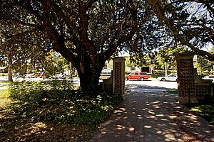1d75m_236.jpg