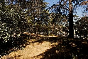 9a75m_180.jpg