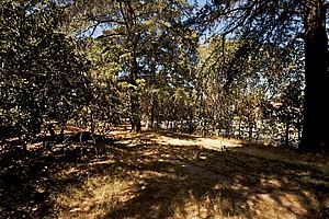 9a75m_181.jpg