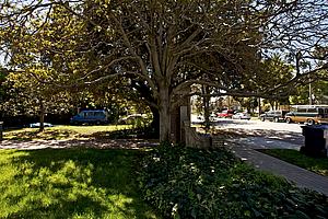 9a75m_182.jpg