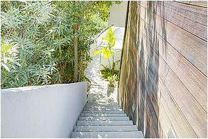 8adscn 025.jpg