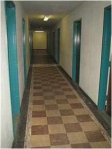 2bdscn 001.jpg