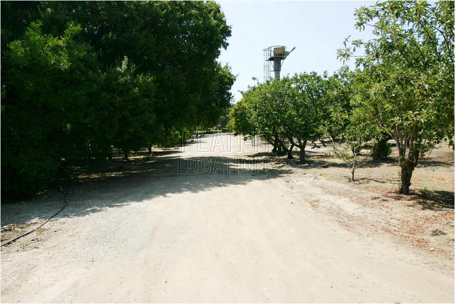 1cIMG_4244.JPG