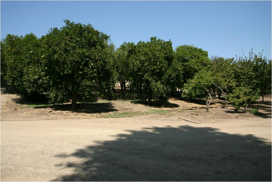 4bIMG_4236.JPG