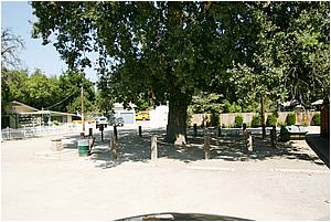 1aIMG_4333.JPG