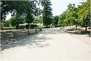 1cIMG_4242.JPG