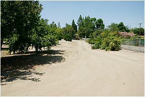1cIMG_4243.JPG