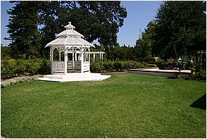 3cIMG_4225.JPG