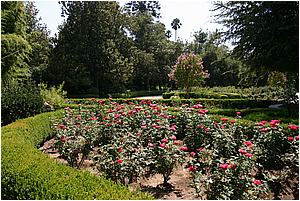4bIMG_4234.JPG