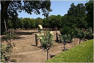 4bIMG_4235.JPG