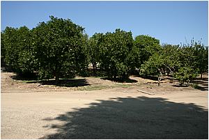 4bIMG_4236.JPG