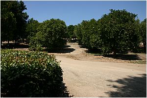 4bIMG_4237.JPG