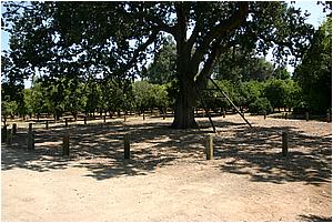 4bIMG_4239.JPG
