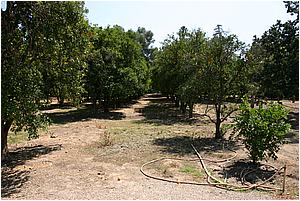 4bIMG_4240.JPG