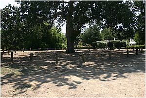 4bIMG_4241.JPG