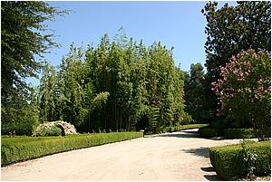 IMG_4253.JPG