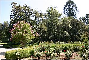 IMG_4254.JPG