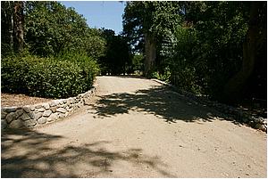 IMG_4268.JPG