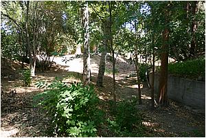 IMG_4273.JPG