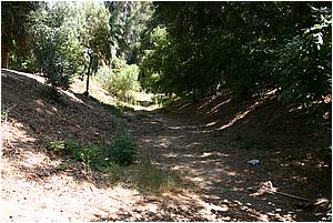 IMG_4274.JPG