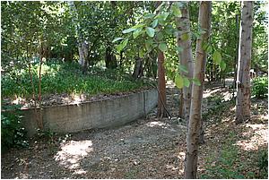 IMG_4275.JPG