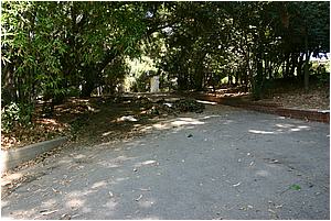IMG_4277.JPG