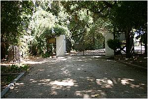 IMG_4278.JPG