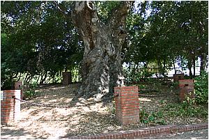 IMG_4280.JPG