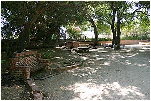 IMG_4281.JPG
