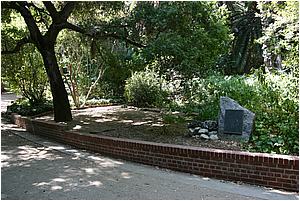IMG_4282.JPG