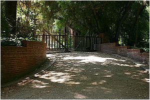 IMG_4284.JPG