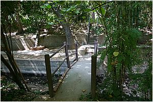IMG_4285.JPG