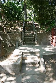IMG_4286.JPG