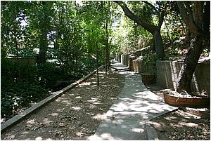 IMG_4287.JPG