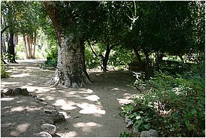 IMG_4290.JPG