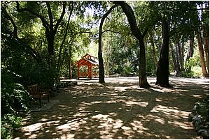 IMG_4291.JPG