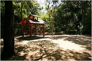 IMG_4293.JPG