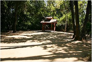 IMG_4294.JPG