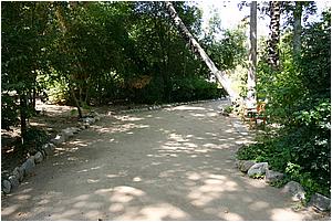IMG_4295.JPG