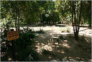 IMG_4296.JPG