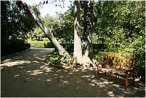 IMG_4297.JPG