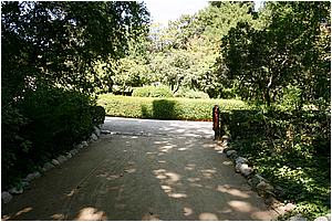 IMG_4298.JPG