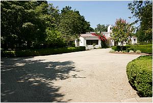 IMG_4299.JPG