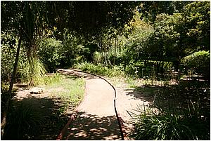 IMG_4300.JPG