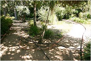 IMG_4301.JPG