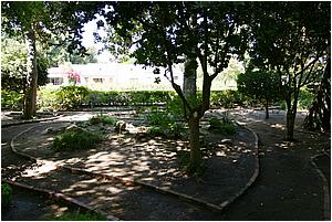 IMG_4303.JPG