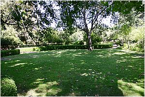 IMG_4304.JPG