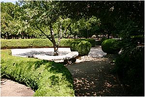 IMG_4306.JPG